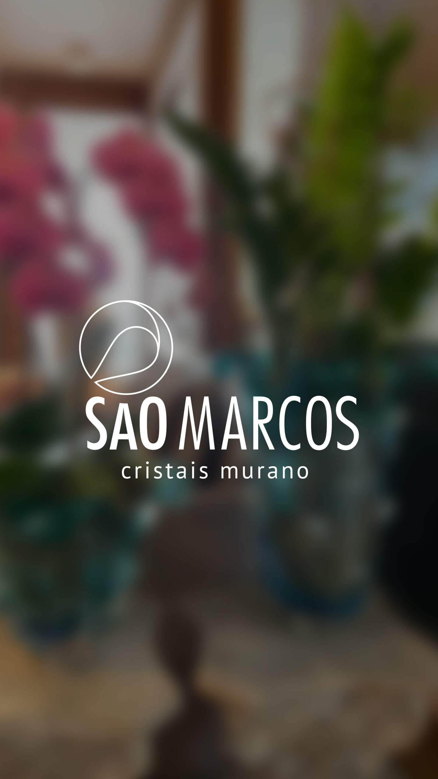 São Marcos
